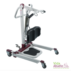 Grúa Eléctrica de Transferencia bipedestadora