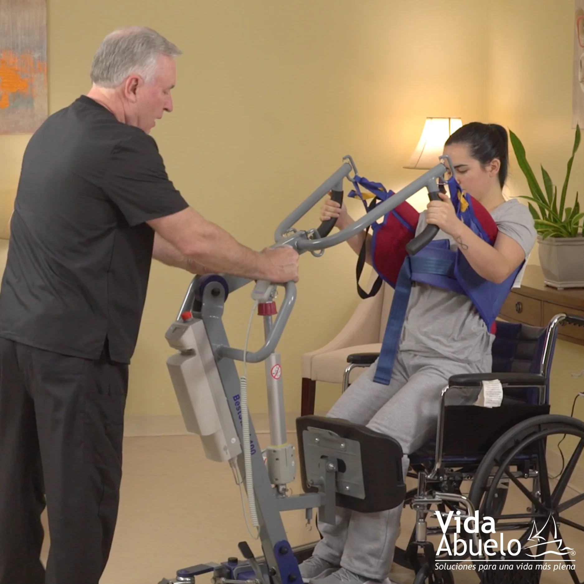 Grúa Bipedestadora Eléctrica - Imagen 6