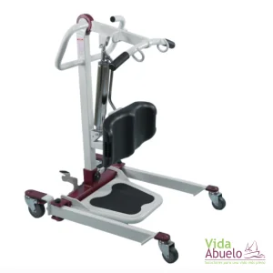 Grúa Eléctrica de Transferencia bipedestadora